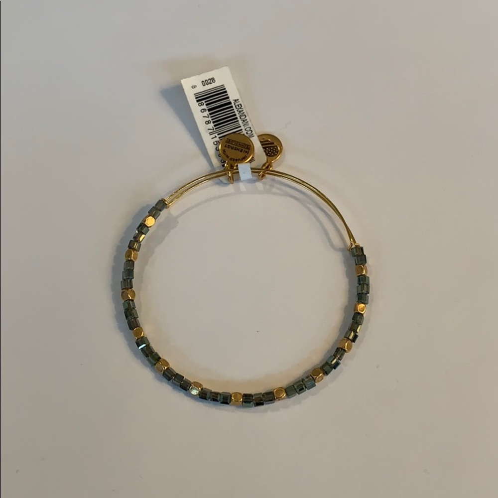 Alex and Ani Wisdom Jungle Beaded Bangle